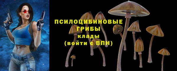 дурь Алексеевка