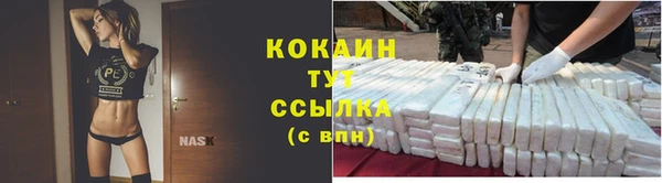 дживик Алзамай