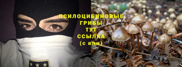 дурь Алексеевка